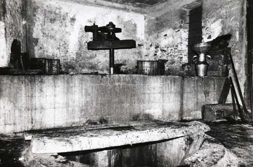 Settembre e la&nbsp;vendemmia